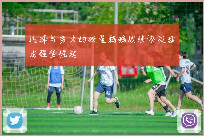 选择与努力的较量鹈鹕战绩惨淡猛龙强势崛起